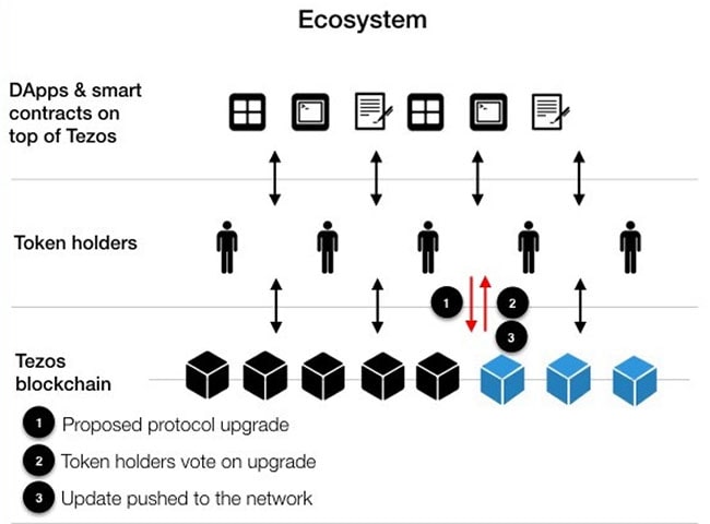 how tezos ecosystem works